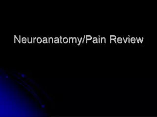 Neuroanatomy/Pain Review
