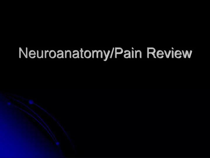 neuroanatomy pain review