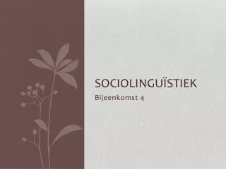 sociolingu stiek