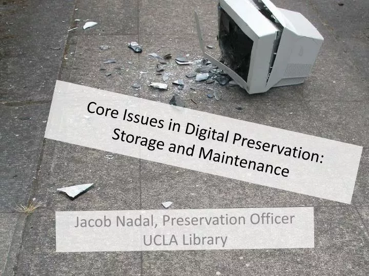 core issues in digital preservation storage and maintenance