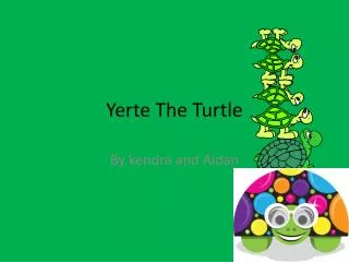 Yerte The Turtle
