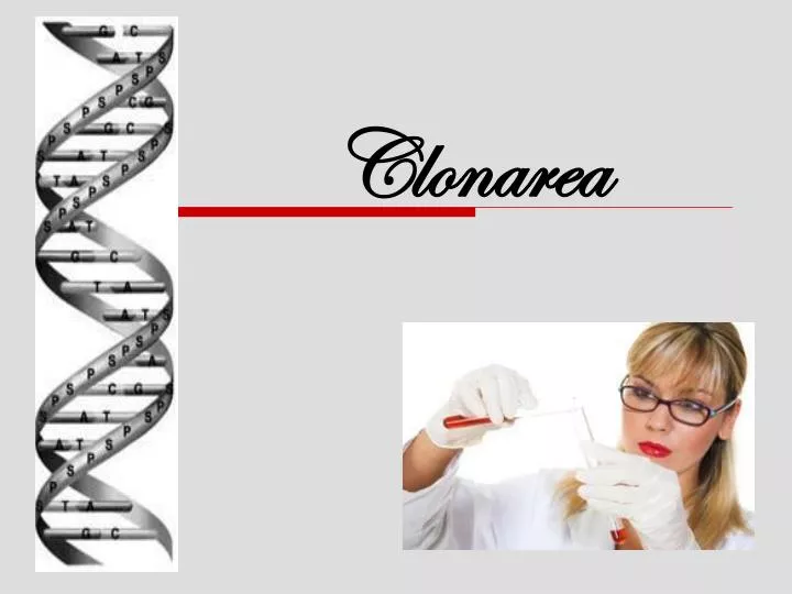 clonarea