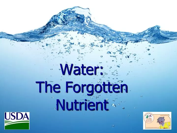 water the forgotten nutrient