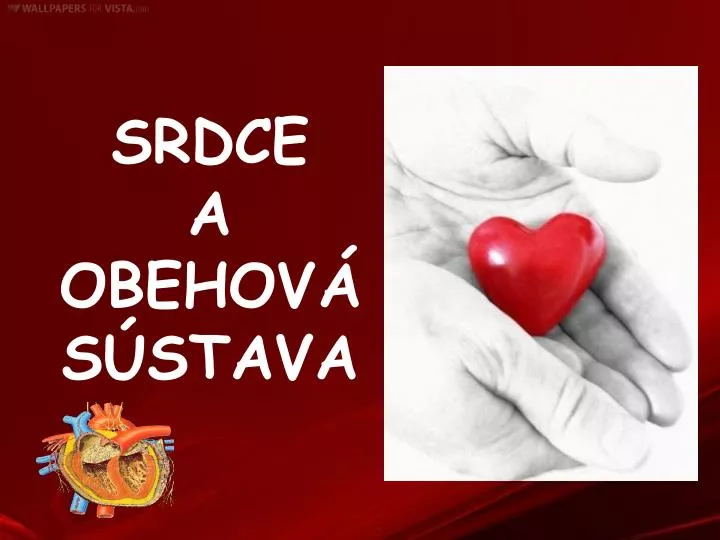 srdce a obehov s stava