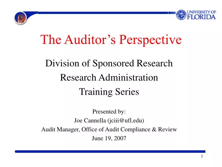 the auditor s perspective