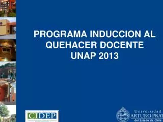 programa induccion al quehacer docente unap 2013