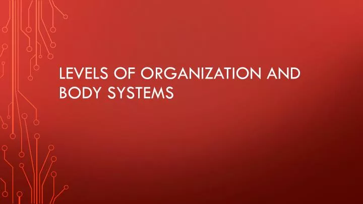 levels of organization and body systems
