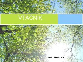 vt nik