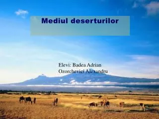 mediul deserturilor
