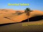 Desertul Sahara - slide 1