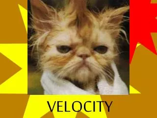 VELOCITY