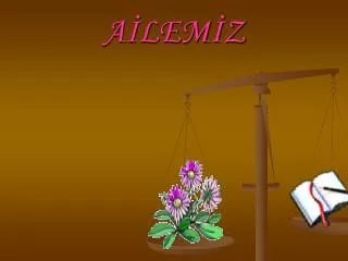 a lem z