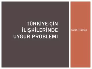 t rk ye n l k ler nde uygur problem