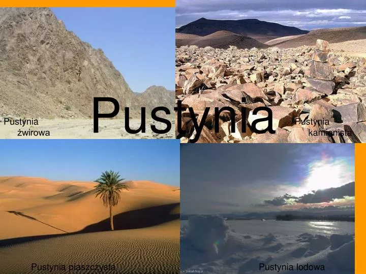 pustynia