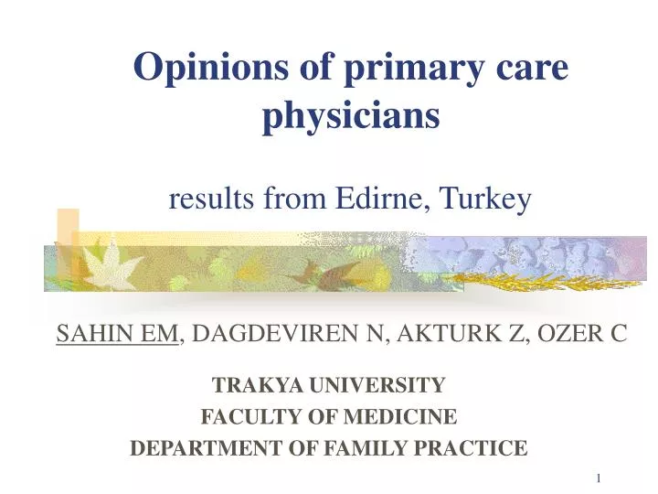 opinions of primary care physicians results from edirne turkey