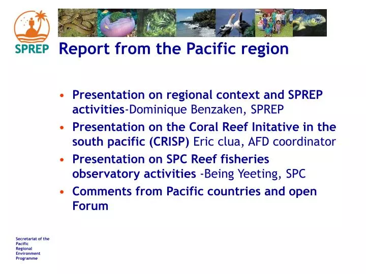 report from the pacific region