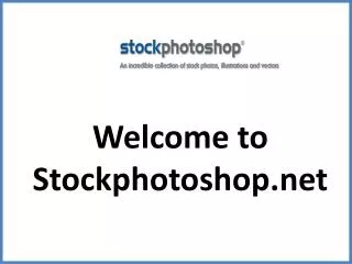 Find the Best Stock Images at Affordable Price