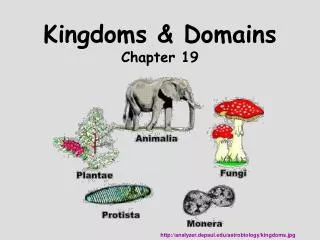 kingdoms domains chapter 19