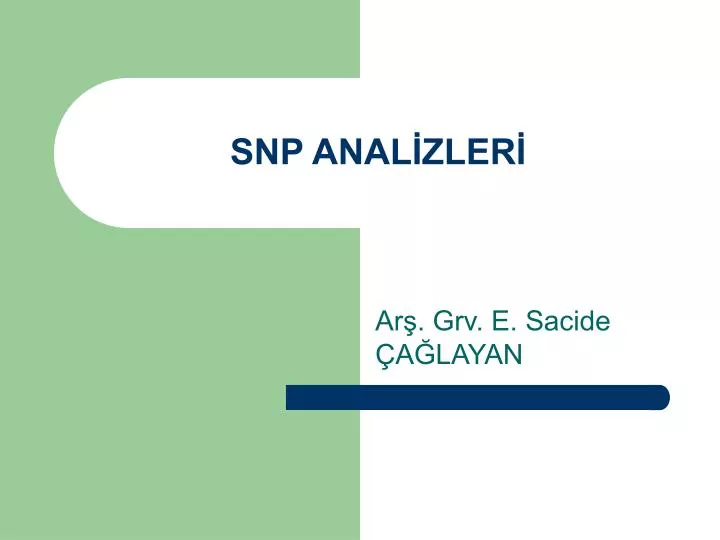 snp anal zler