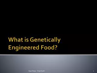 What is Genetically Engineered Food?