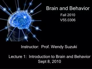 Brain and Behavior Fall 2010 V55.0306