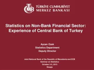 Statistics on Non-Bank Financial Sector: Experience of Central Bank of Turkey