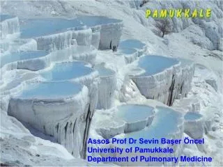 Assos Prof Dr Sevin Başer Öncel University of Pamukkale Department of Pulmonary Medicine