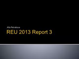 REU 2013 Report 3