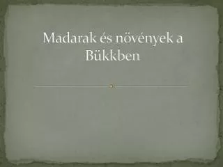 madarak s n v nyek a b kkben