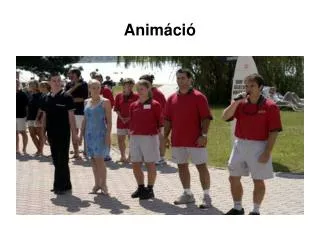 anim ci