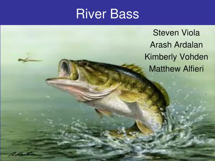 river bass