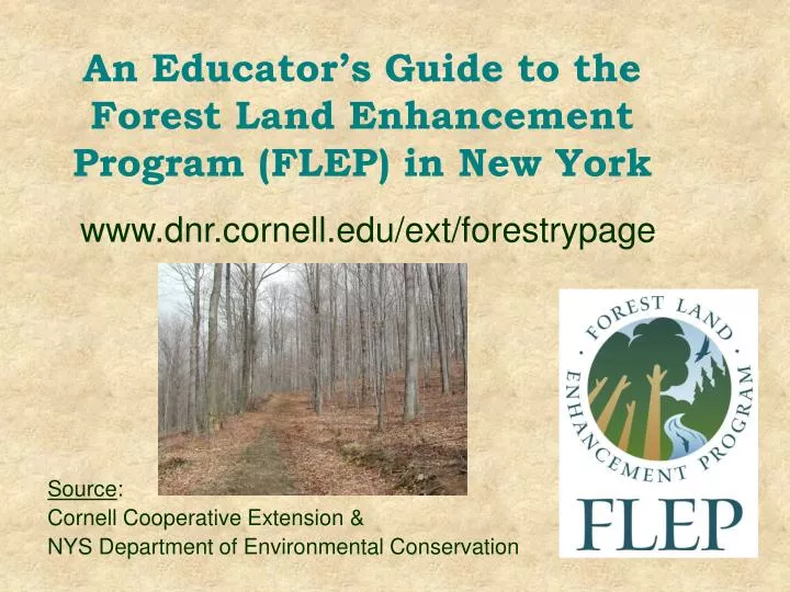 an educator s guide to the forest land enhancement program flep in new york