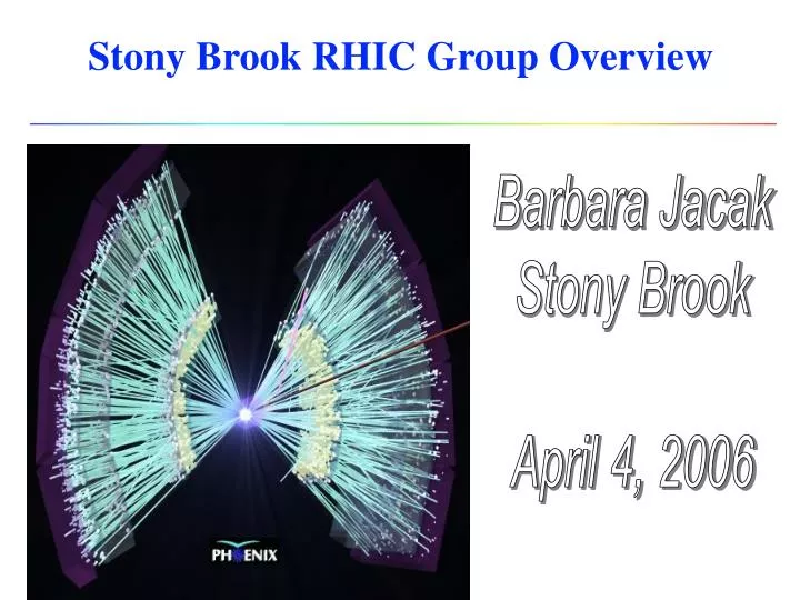 stony brook rhic group overview