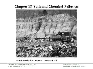 Chapter 18 Soils and Chemical Pollution