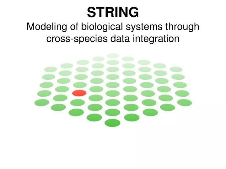 string modeling of biological systems through cross species data integration