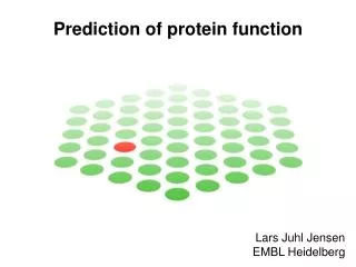 Prediction of protein function