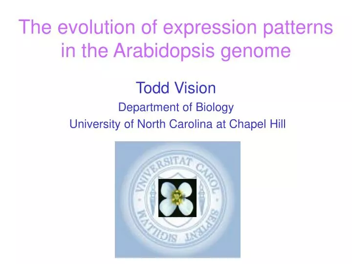the evolution of expression patterns in the arabidopsis genome