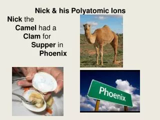 Nick &amp; his Polyatomic Ions Nick the Camel had a Clam for Supper in Phoenix