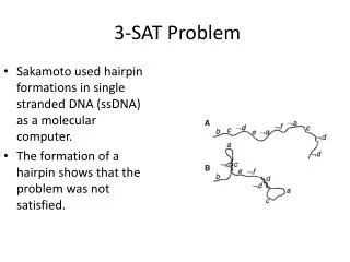 3-SAT Problem