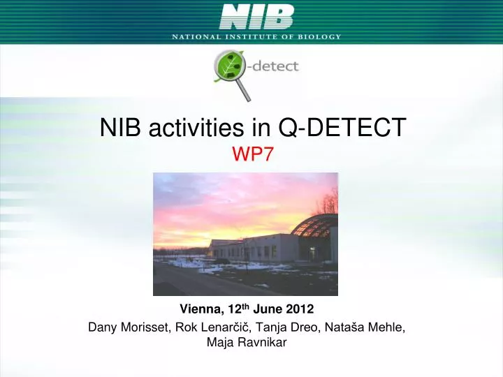 nib activities in q detect wp7
