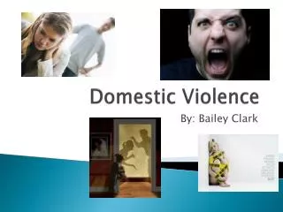 D omestic Violence