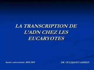 la transcription de l adn chez les eucaryotes