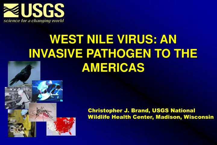 west nile virus an invasive pathogen to the americas