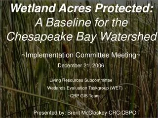 Wetland Acres Protected: A Baseline for the Chesapeake Bay Watershed