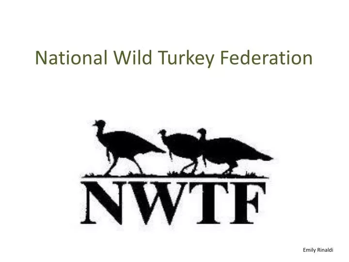 national wild turkey federation