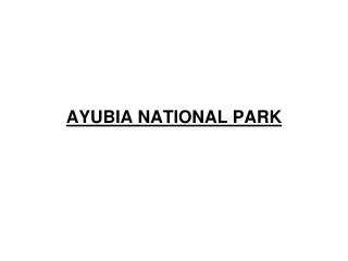 AYUBIA NATIONAL PARK
