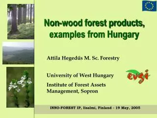 Non-wood forest products, examples from Hungary