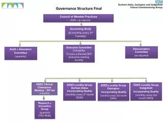 Governance Structure Final