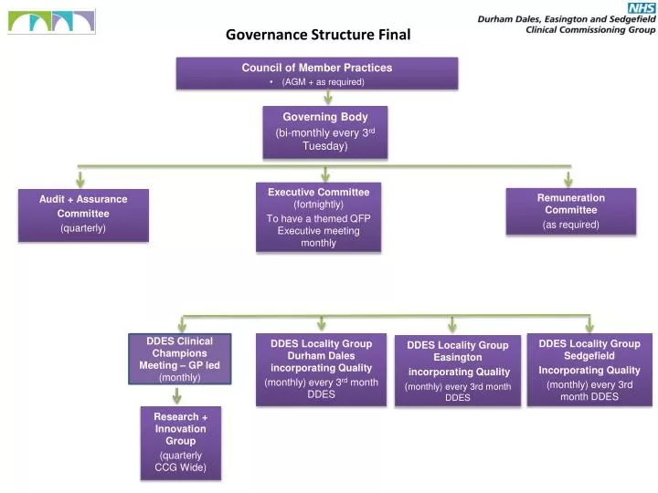 governance structure final