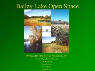 Bailey Lake Open Space